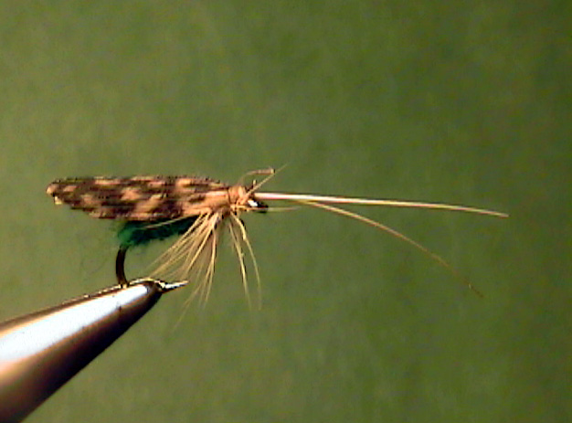 Caddisfly Imitations - Fly Fishing Yellowstone National Park